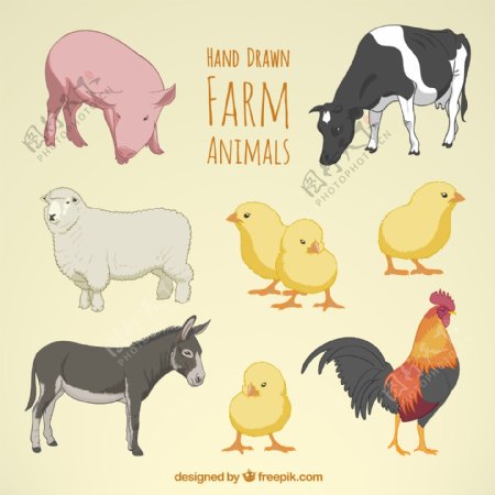 手工绘制农场动物
