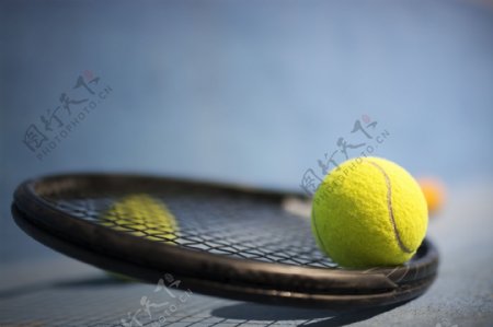 网球与球拍特写