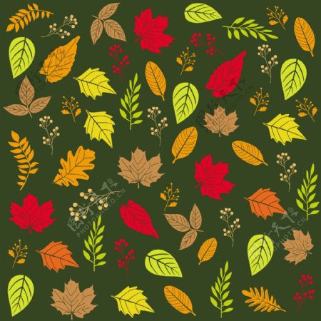 秋季彩色叶子矢量图