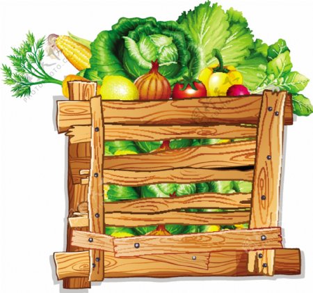 木箱里的蔬菜