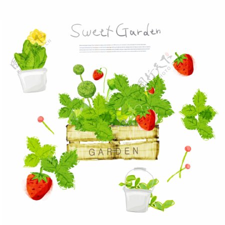 草莓绿叶与花盆植物等PSD分层素材