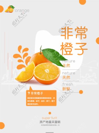 水果海报非常橙子