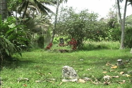 拉罗汤加岛石在神圣的地方股票视频视频免费下载