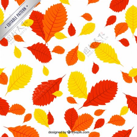 红色橙色和黄色的树叶图案