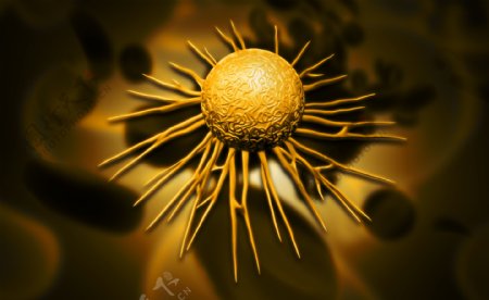 立体病毒细胞图片