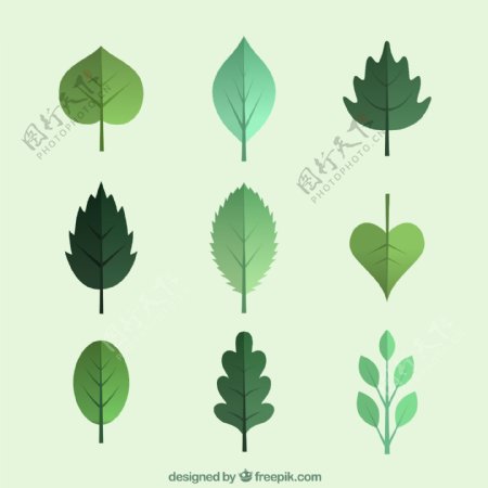 9款绿色树叶设计矢量素材