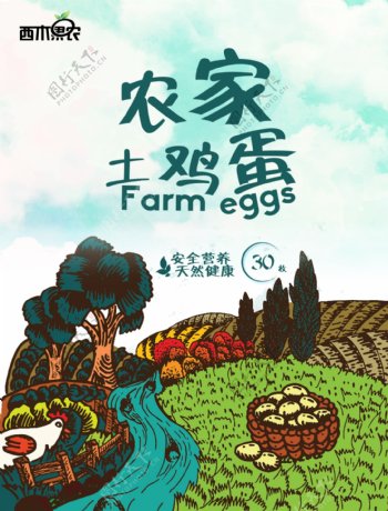 农家土鸡蛋插画海报