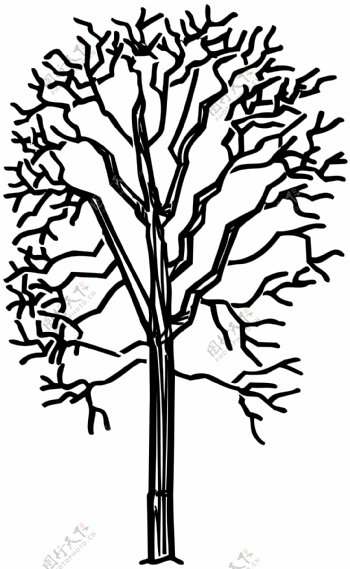 树木矢量素材eps格式0166