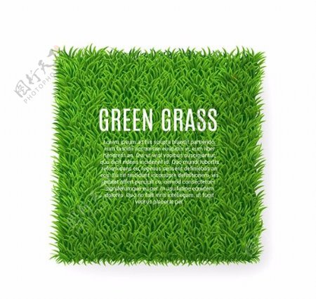 方形绿色草坪矢量图片AI