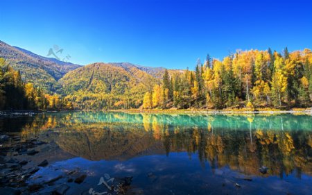 北疆风景