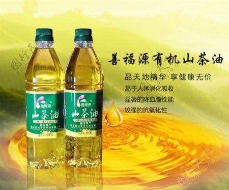淘宝banner山茶油有机广告