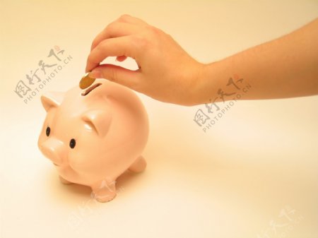 小猪储钱罐图片