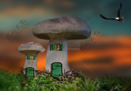 草地上的蘑菇房子