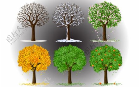 树的季节变化矢量图