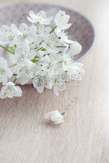 盘子里白色的花