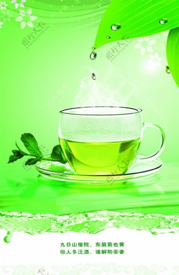 绿色清新茶文化下载