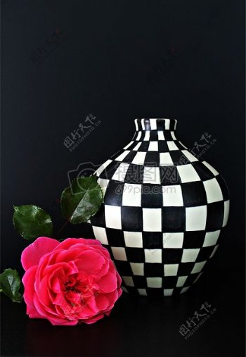 艺术绘画白色黑色设计装修室内装饰玫瑰花瓶仍然生活