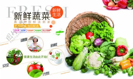健康新鲜蔬菜PSD海报