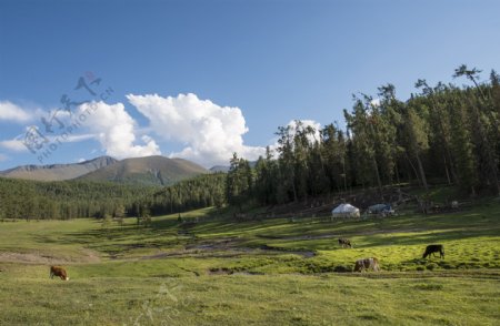 新疆白哈巴村风景