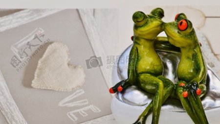 相恋的青蛙