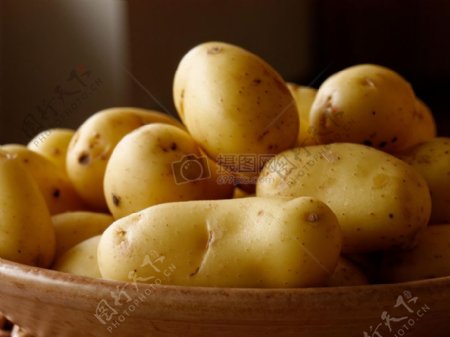 土豆高清特写