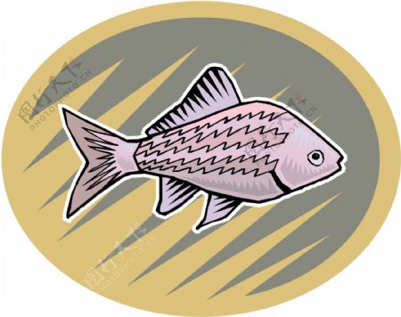 五彩小鱼水生动物矢量素材EPS格式0508