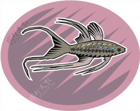 五彩小鱼水生动物矢量素材EPS格式0530