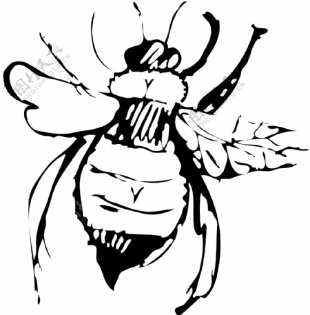 蜜蜂矢量素材EPS格式0006