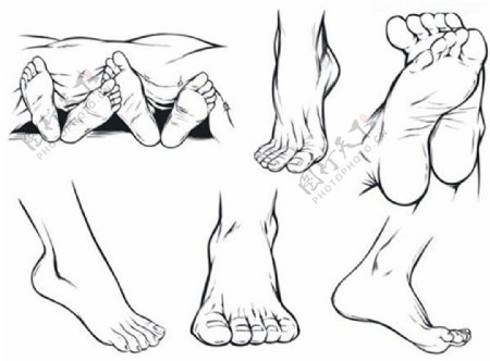 人体脚部素描矢量图片AI