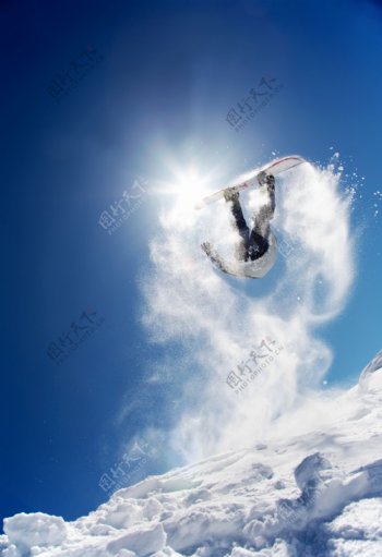 滑雪的职业人员图片
