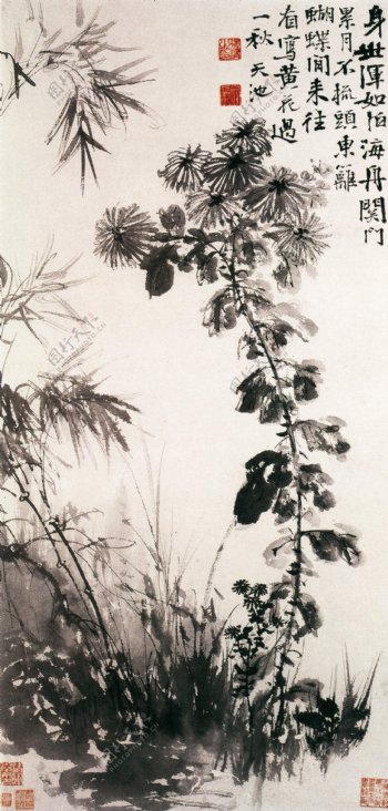 高清手绘植物图片