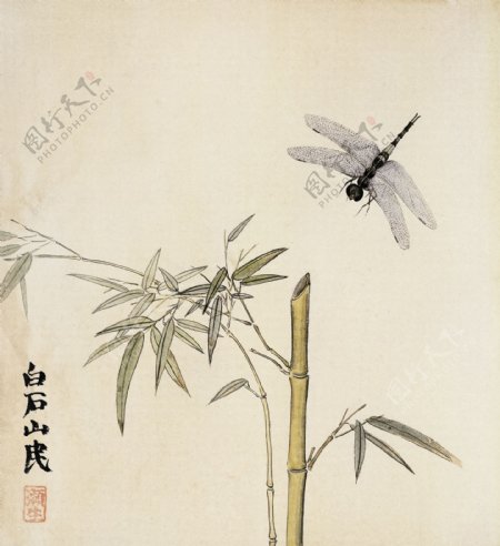 国画竹子与蜻蜓图片