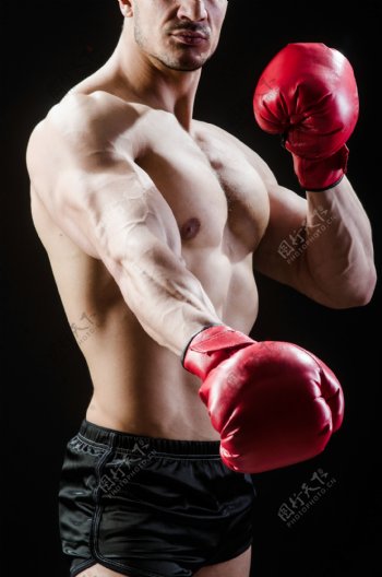 强壮的拳击运动员图片