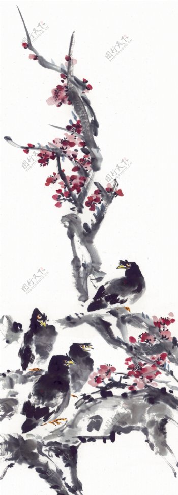 站在梅花上的乌鸦图片