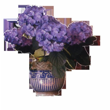 唯美古典花瓶盆景素材花朵