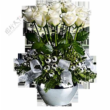 白色陶瓷唯美玫瑰花高清盆花素材