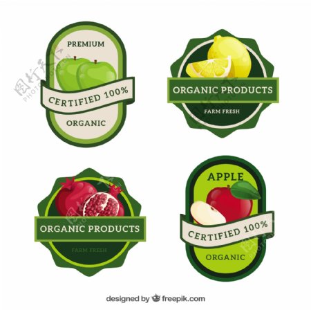 不同的水果绿色标签图标