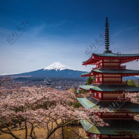 富士山与塔图片