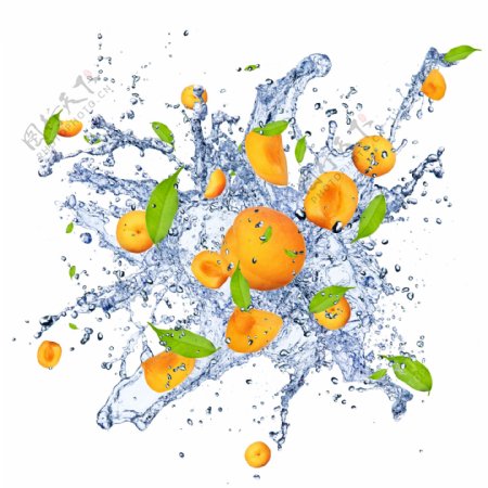 鲜橙与动感水波图片
