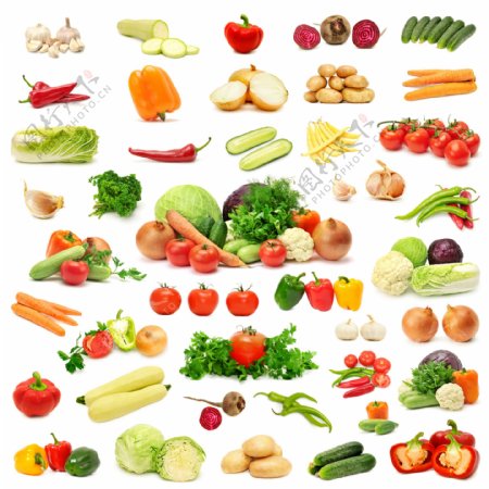 蔬菜摄影素材图片