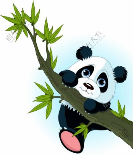 卡通爬树枝的熊猫矢量素材下载