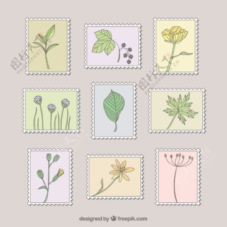 手工绘制的植物邮票集