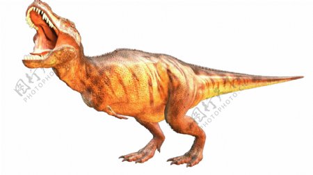 雷克萨斯暴龙恐龙龙