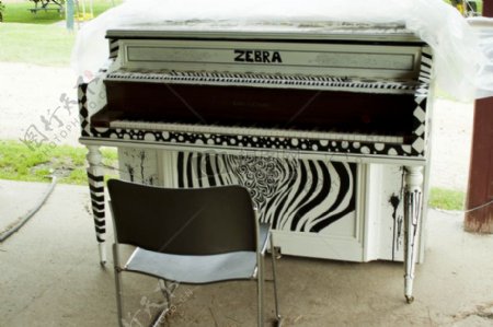 钢琴12吓坏了Zebra.jpg
