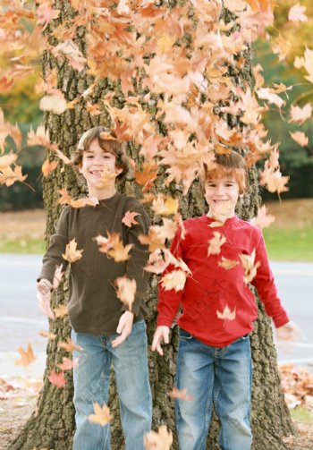 树干前的落叶和外国男孩图片
