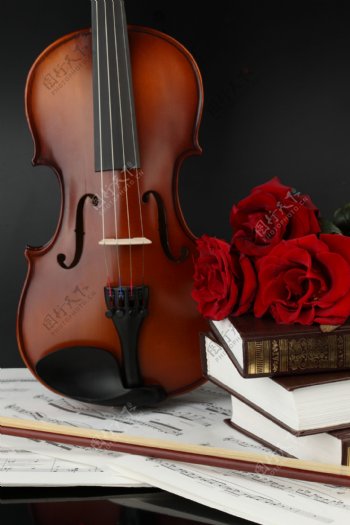 小提琴与玫瑰花