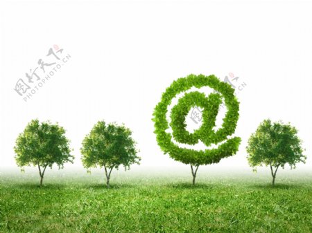 电子邮件标志形状的树木图片