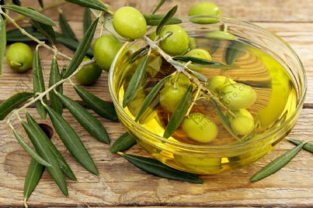橄榄和橄榄油图片