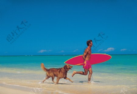 沙滩上遛狗的外国男士图片