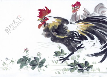 鸡写意花鸟国画0234